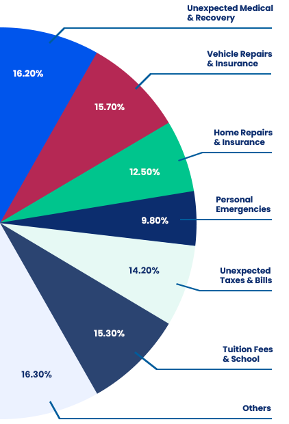 pie chart displaying the percentage breakdown of the top seven purposes for which customers use our loans